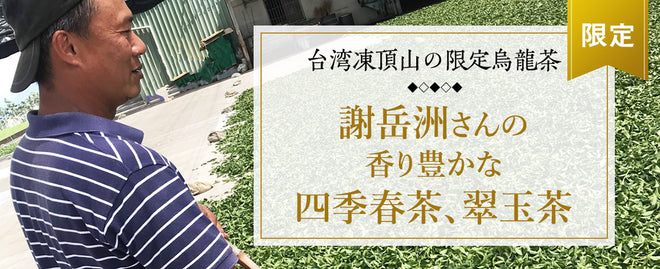 台湾凍頂山の限定烏龍茶 謝岳州さんの香り豊かな凍頂四季春茶、凍頂翠玉茶