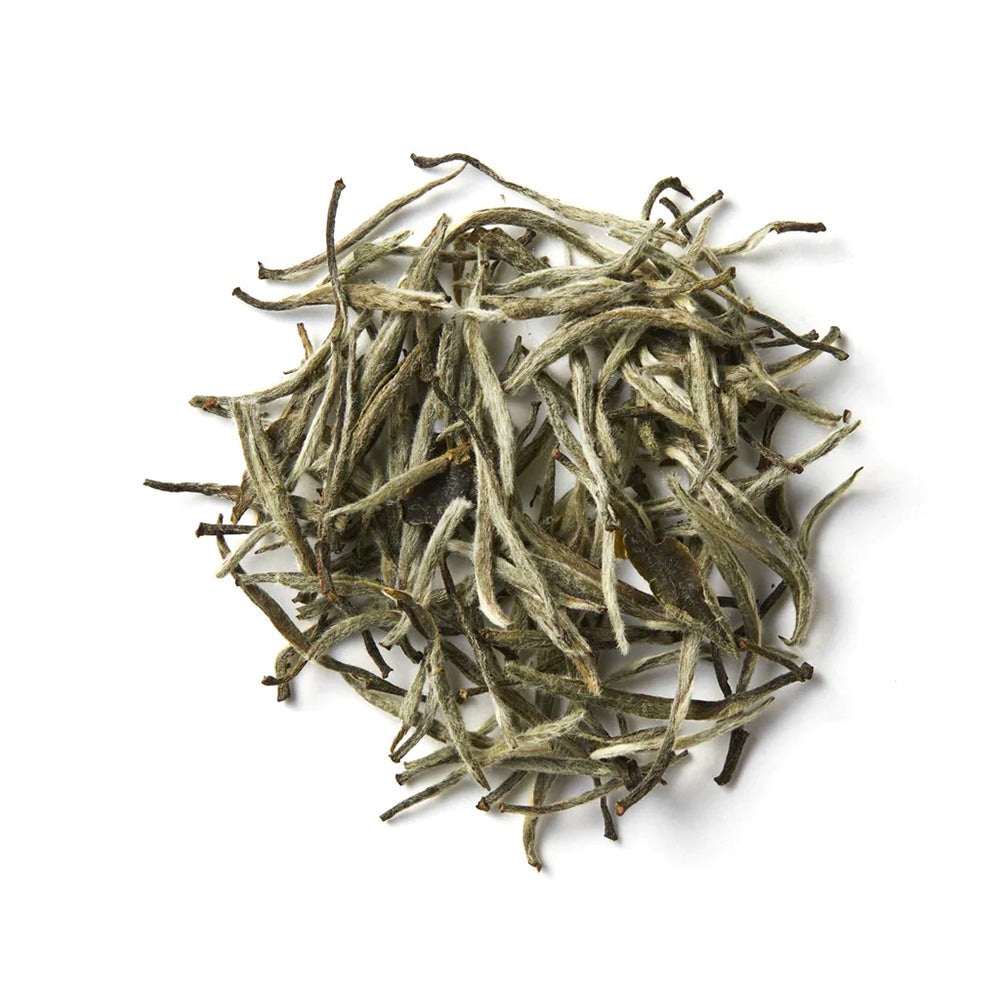 白豪銀針15g(中国･福建省産)-芽芯が蓄えた銀色に輝く蜜の甘み-【THREETEA】