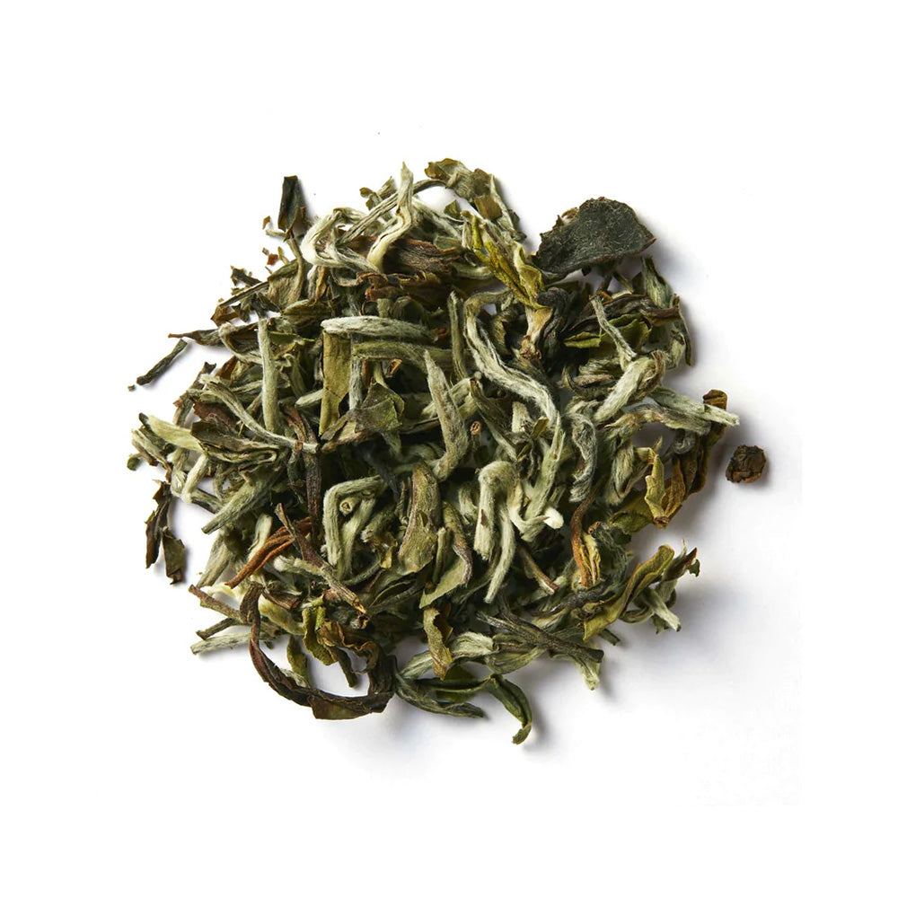 ダージリン シルバーニードルズ15g(インド･ダージリン産)　-新芽のみを使った、繊細な味わいの茶葉-【THREETEA】