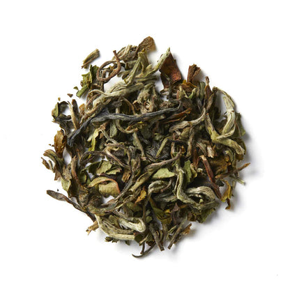 ダージリン シルバーティップス15g(インド･ダージリン産)　-フレッシュな春摘み茶葉のマスカテル-【THREETEA】