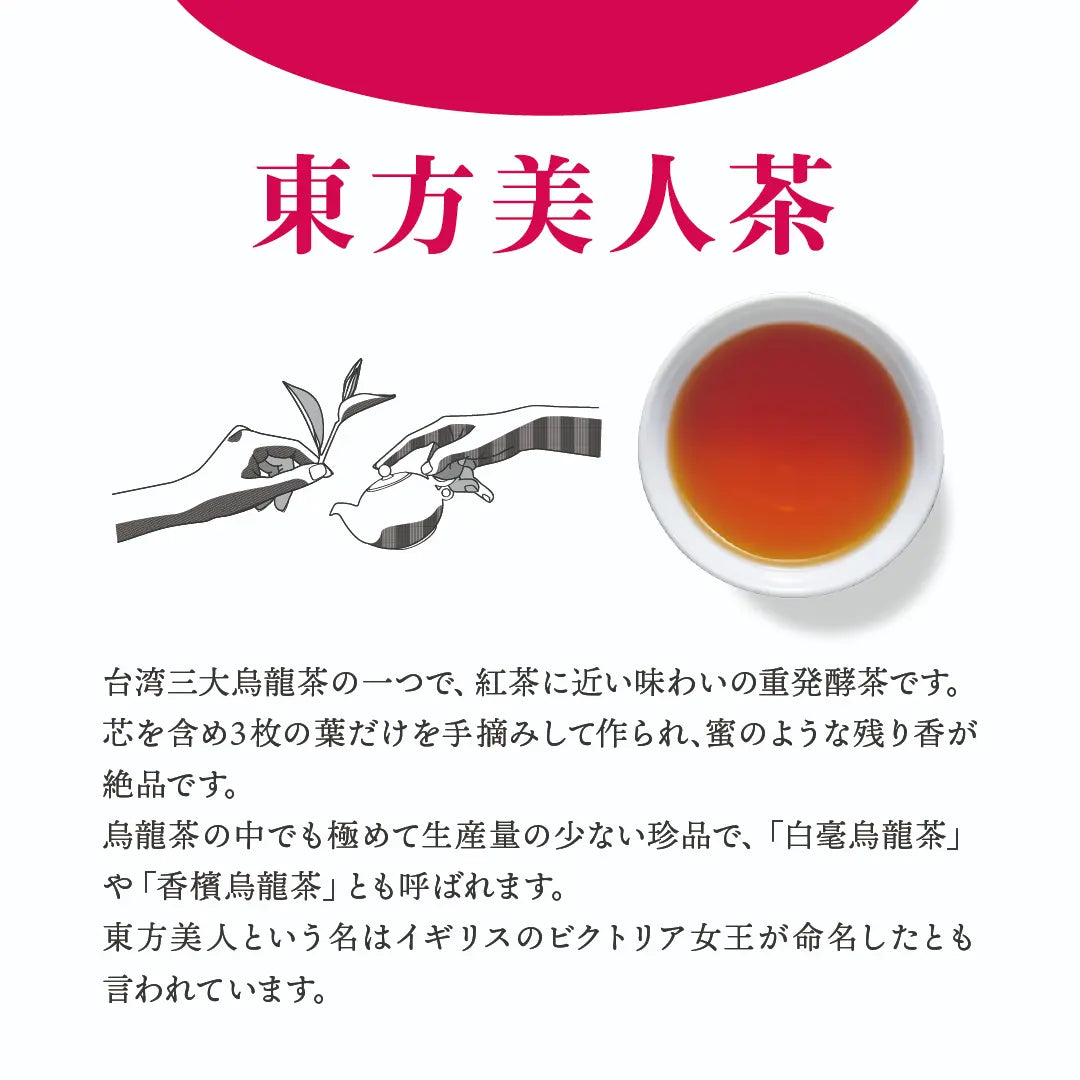 ≪定期購入なら10％OFF！≫☆送料無料☆ TTT 東方美人茶 台湾産 1.5g