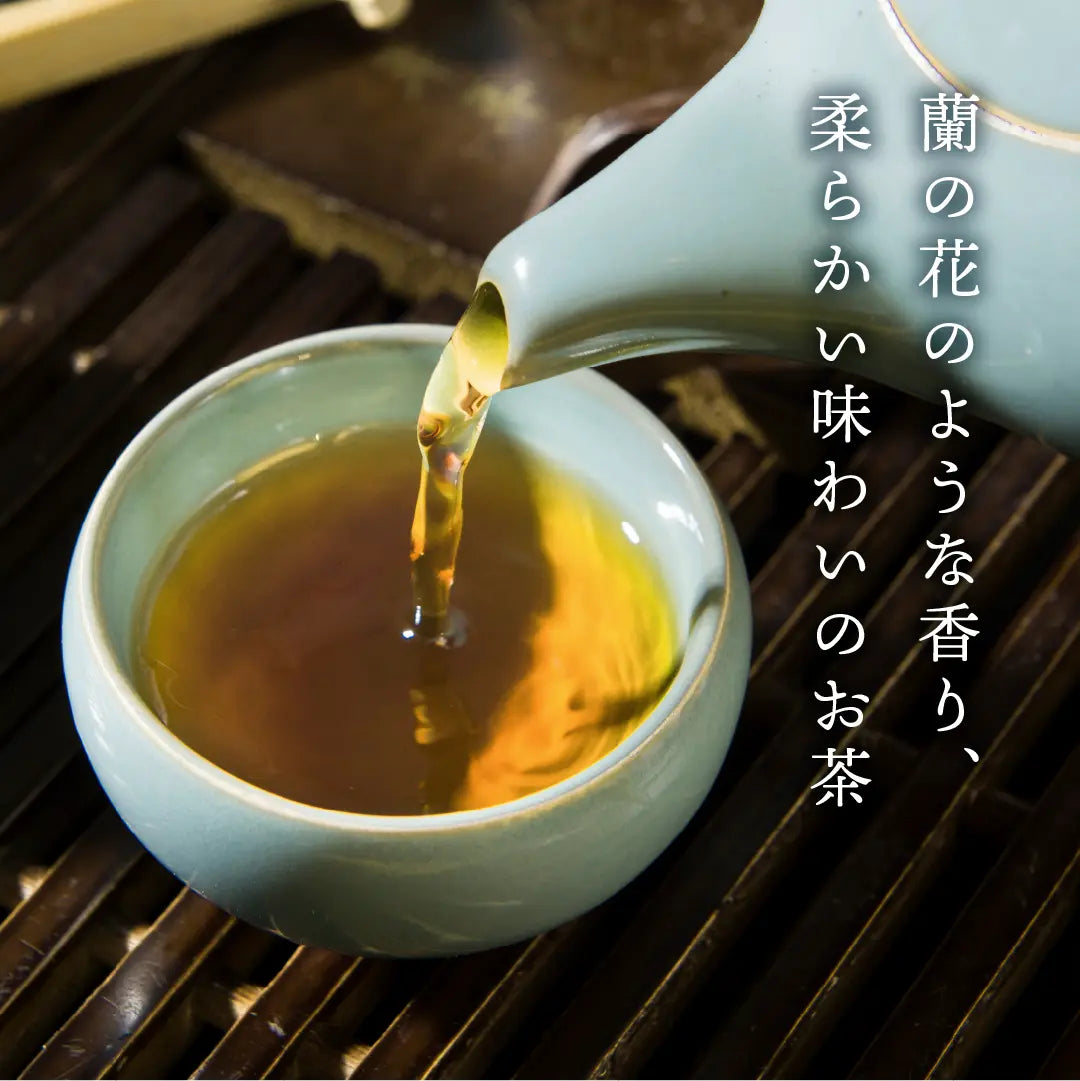 ≪定期購入なら10％OFF！≫【まとめ買い3個パック5％OFF】久順銘茶 凍頂四季春茶（まとめ買いや贈り物に 台湾烏龍茶 茶葉 80g×3個）