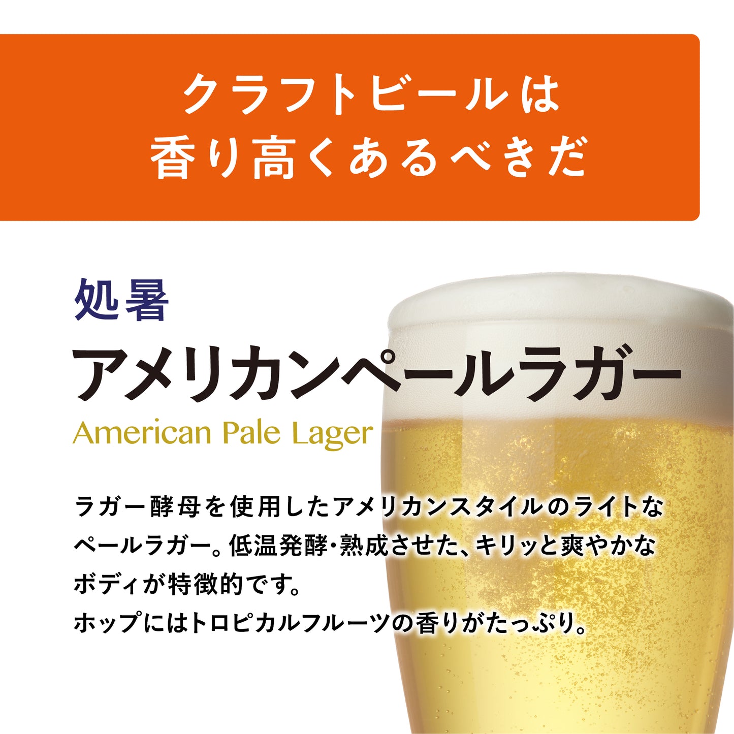≪送料無料≫HEAD BEER 5種飲み比べアソートセット(穀雨・秋分・処暑・大暑・小雪 各1本ずつ)